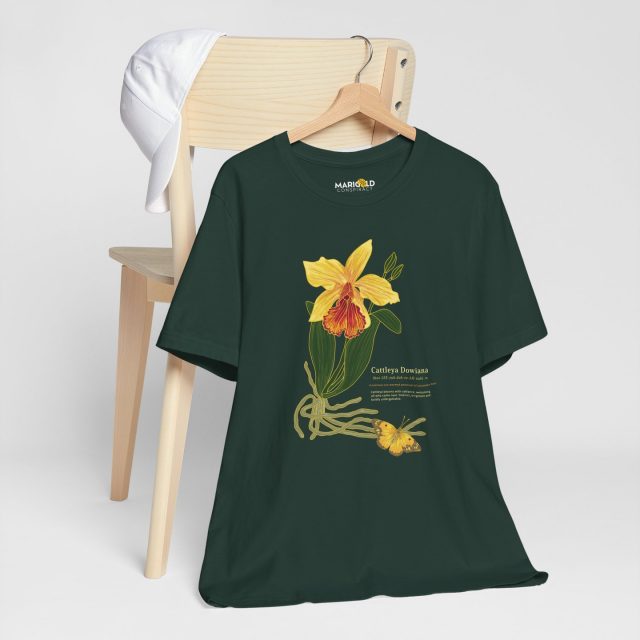 Plot twist:
The Botanical Definition series isn’t just tank tops 🌿

T-shirts are part of the garden too. #botanicaldesign #botanicalillustration #natureinspired #natureart #wearableart #artyoucanwear #slowfashion #independentartist #artistbrand #smallbrand #creativeprocess #plantlovers #plantinspired #botanicalstyle #floraldesign #linocutstyle #illustrationart #designinspiration #minimaldesign #earthtones #natureaesthetic #gardeninspiration #plantobsessed #shopindependent #supportartists #madebyartist #artbrand #modernbotanical #everydayart #marigoldconspiracy