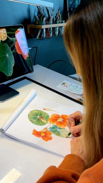 Sketchbook Diaries: Color Studies with Nasturtiums 🌺

#SketchbookDiaries #Nasturtiums #BotanicalStudies #SketchbookPractice #NatureSketchbook #HumanArtRespondingToNature #FieldNotes #BotanicalDrawing #PlantObsessed #ArtistStudio #SlowArt #CreativePractice #MarigoldConspiracy